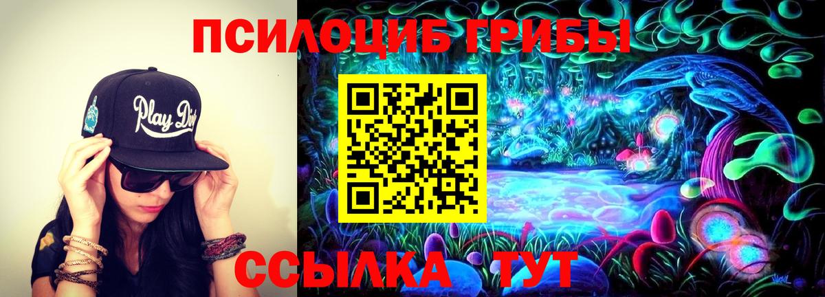 Йошкар-Ола  Галлюциногенные грибы прущие грибы  где купить наркоту  Галлюциногенные грибы мухоморы  Вход с VPN 