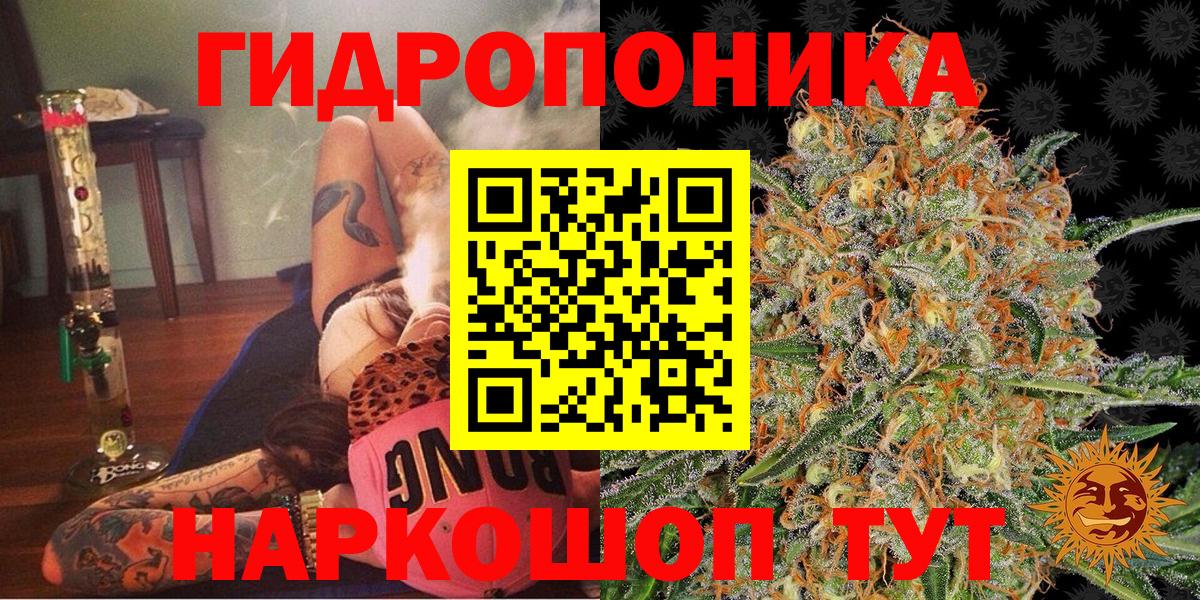 Конопля ГИДРОПОН Йошкар-Ола